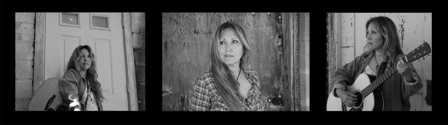 Blueflower Skye WORDPRESS three pic banner BW